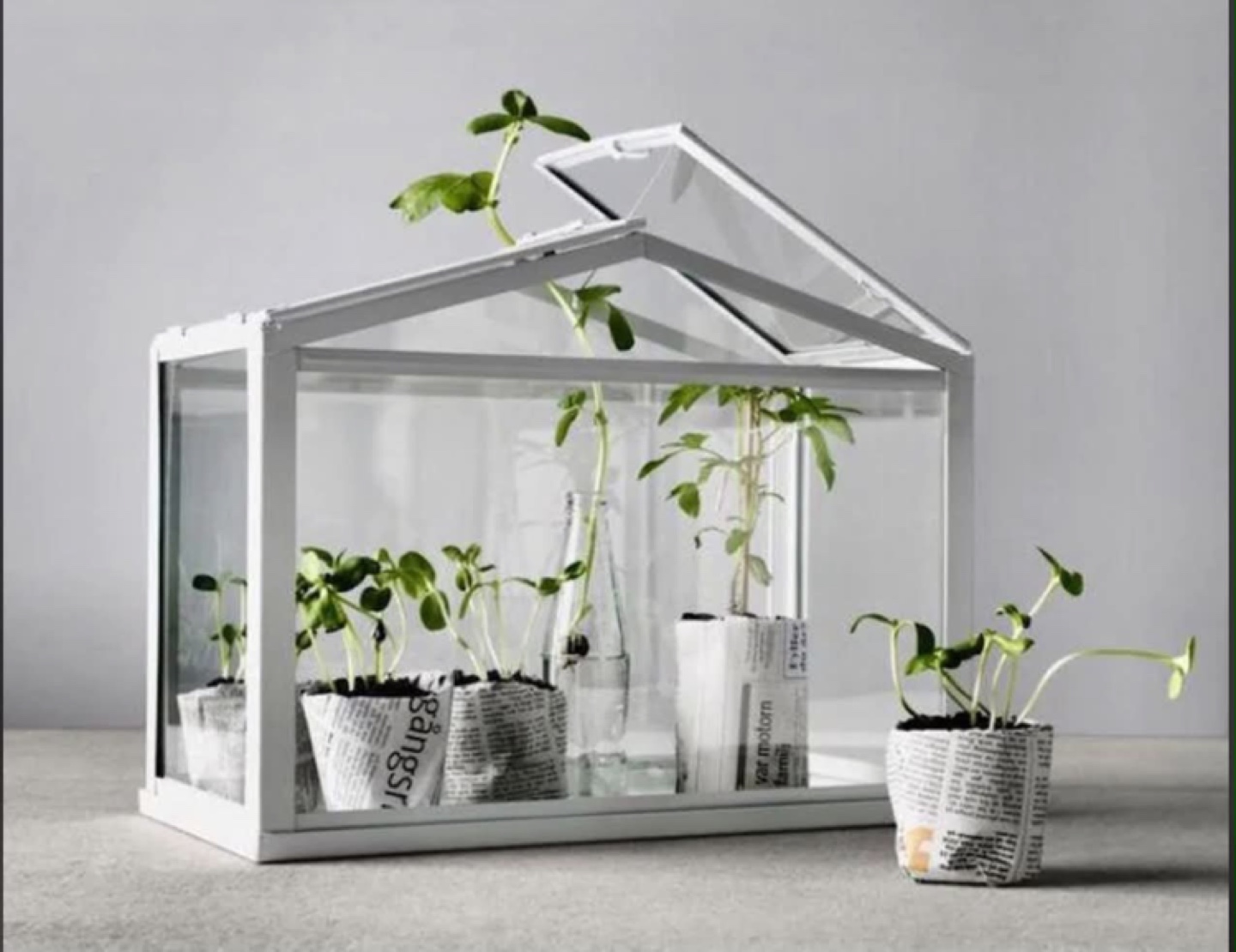 Ikea socker or Mini table top Greenhouse - photo 2