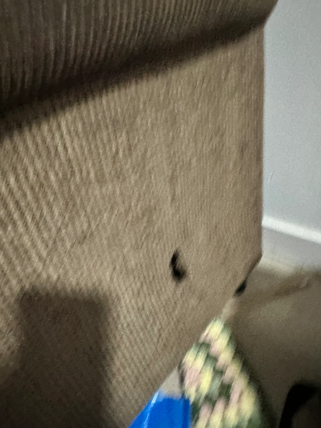 Brown Corduroy Loveseat Sofa