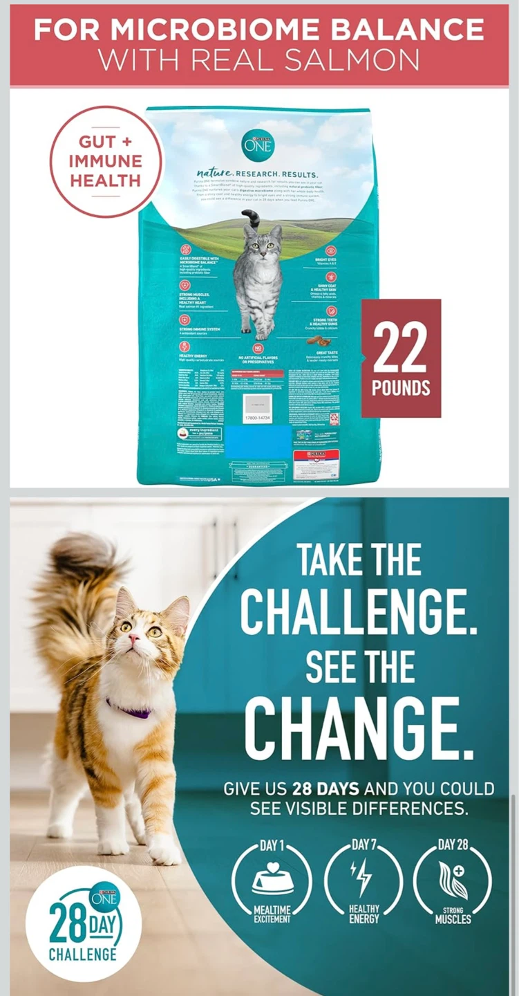 Purina ONE Tender Selects Blend Cat Food - Salmon Flavor - 22 lb - photo 3