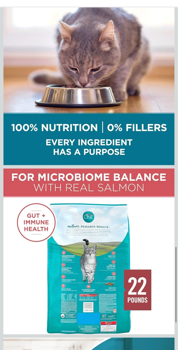 Purina ONE Tender Selects Blend Cat Food - Salmon Flavor - 22 lb - photo 2