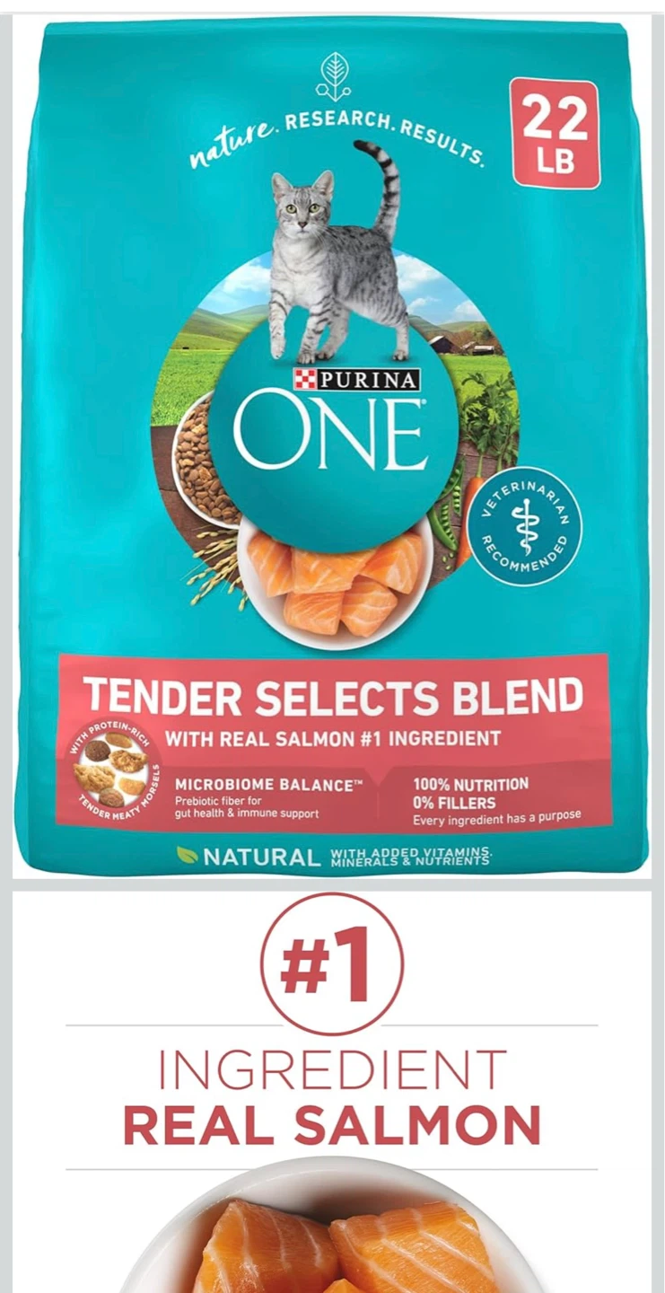 Purina ONE Tender Selects Blend Cat Food - Salmon Flavor - 22 lb
