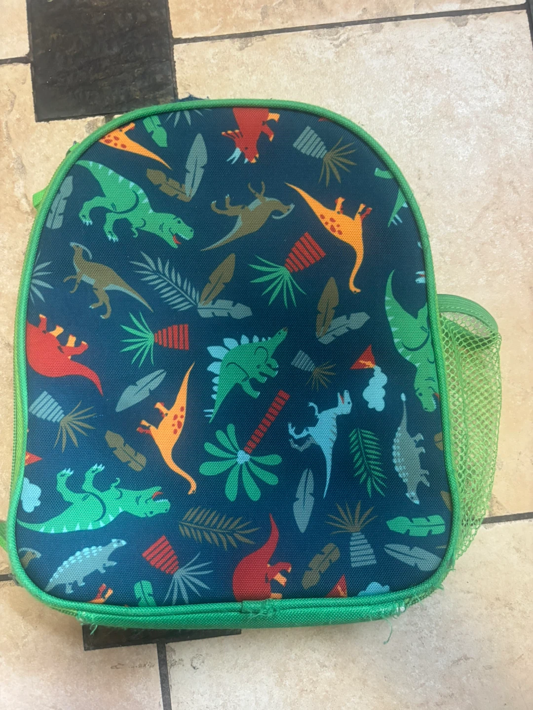 Kids Dinosaur Lunch Bag