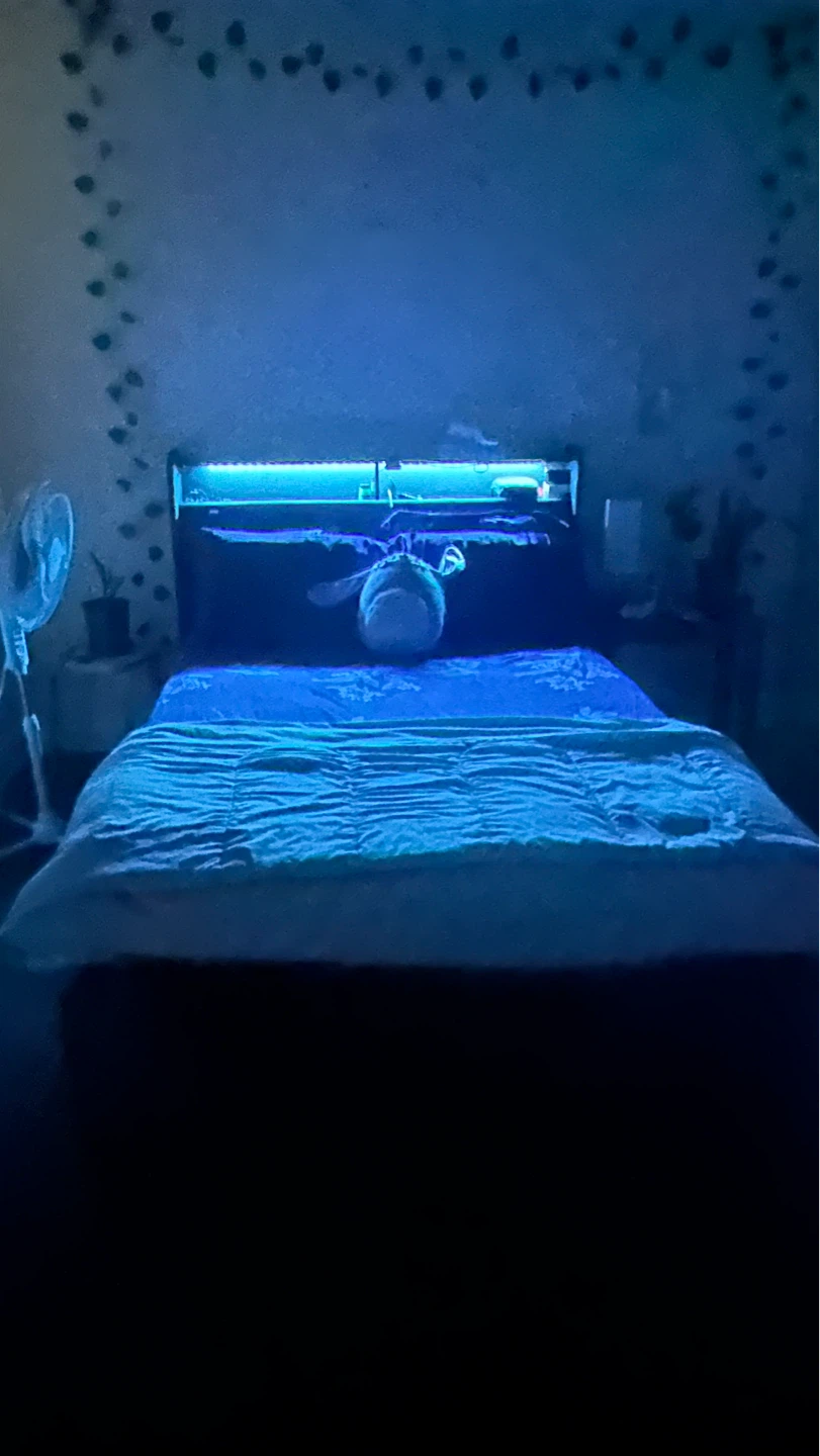 4 Storage Bed Frame with LED Lights - photo 2