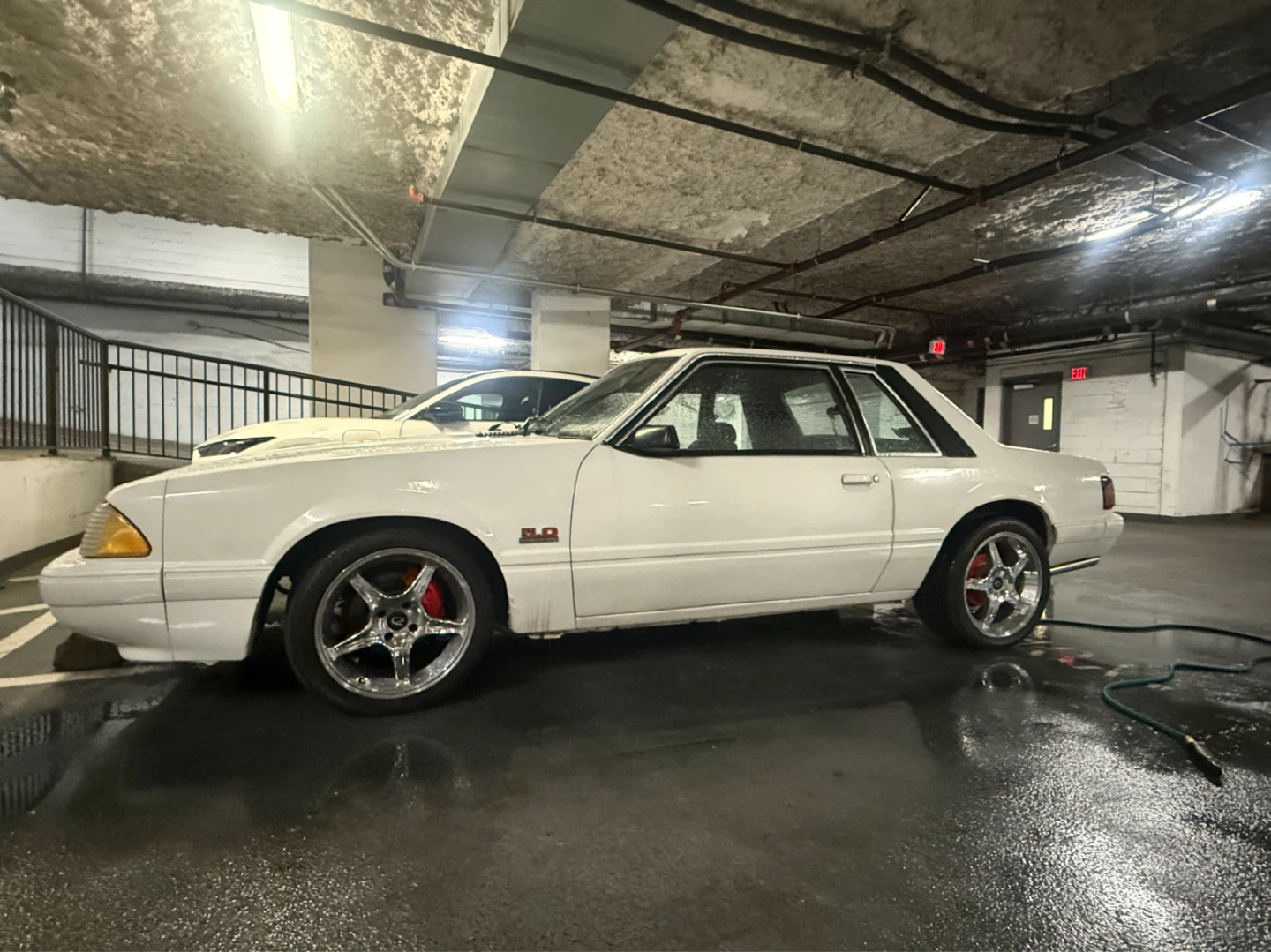 White Ford Mustang 5.0