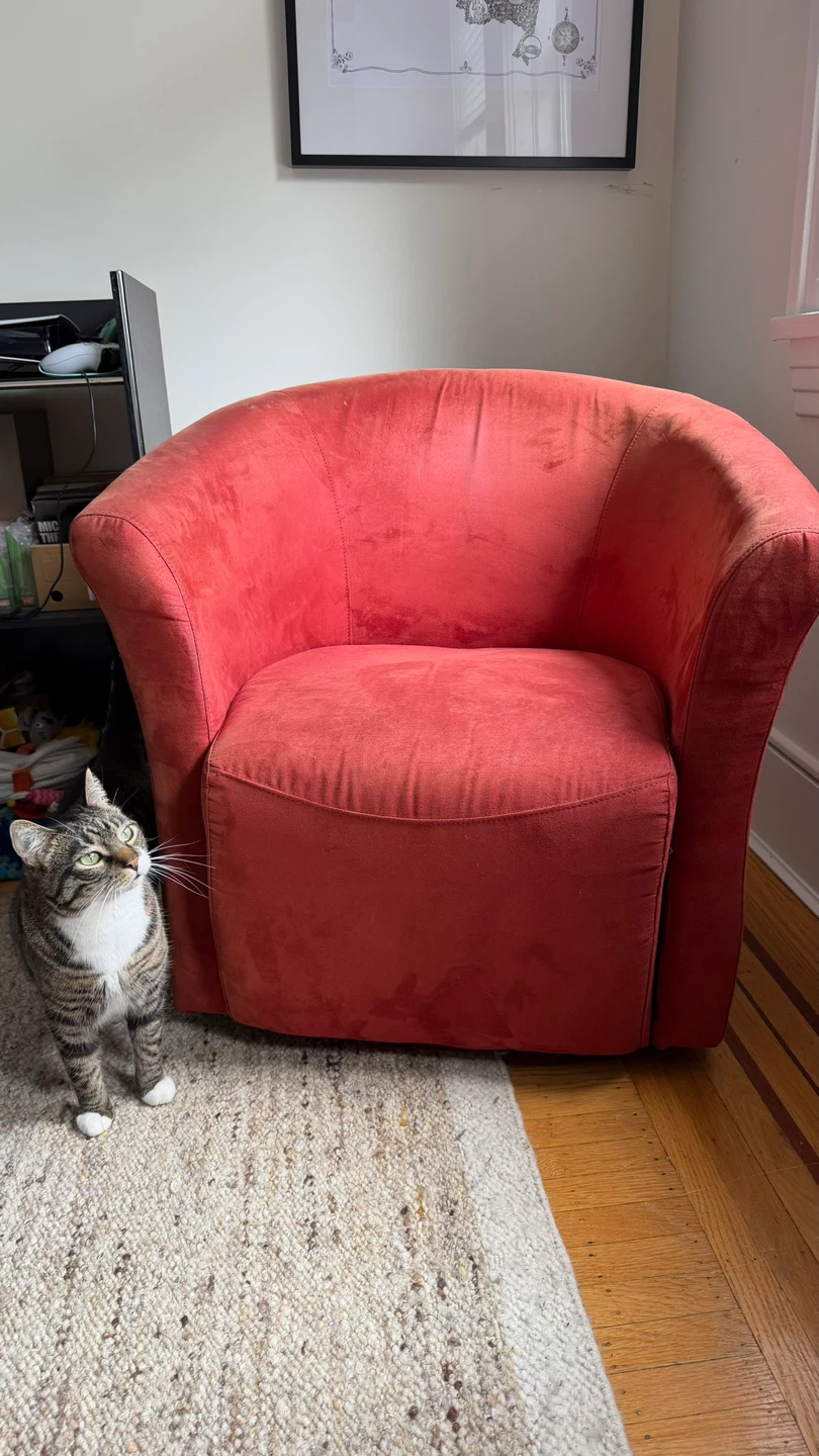 Coral Accent Chair