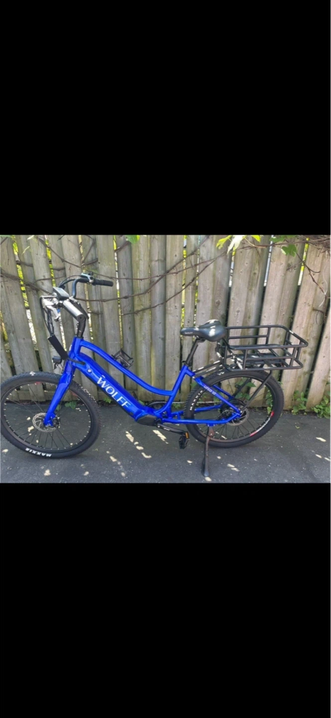 Wolff Sapphire Blue Electric Bicycle with Cargo Rack