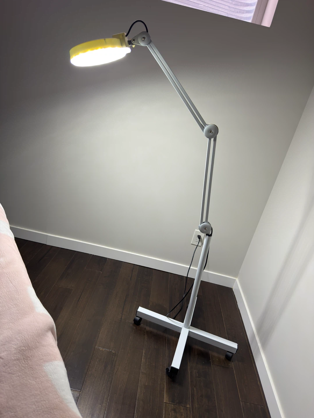 Magnifying Floor Lamp ring light