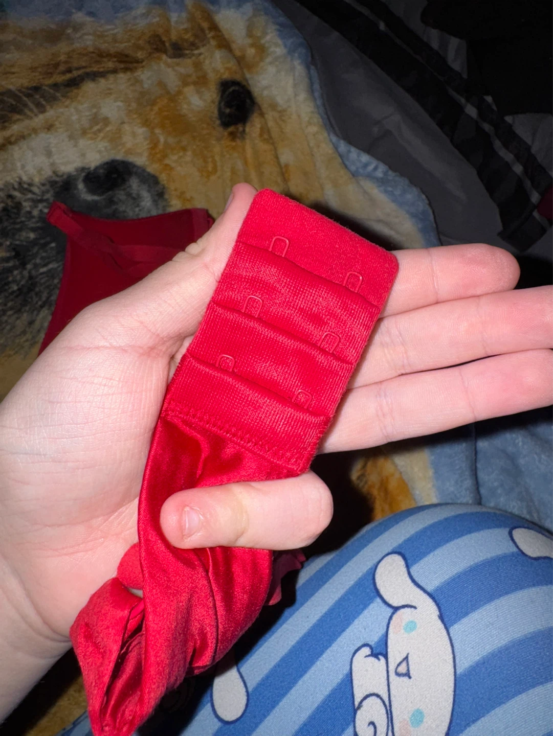 Red Satin Bra - photo 3