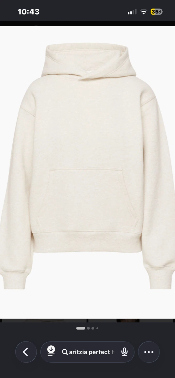 Aritzia Perfect Hoodie
