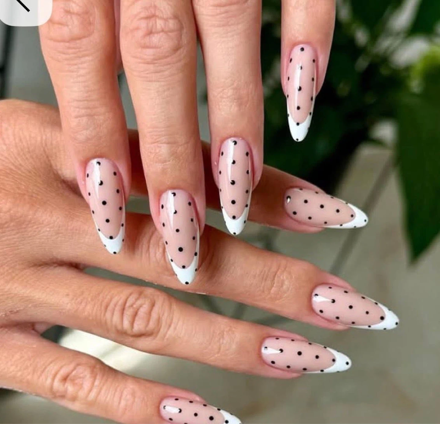 Custom French Tip Nails - photo 3