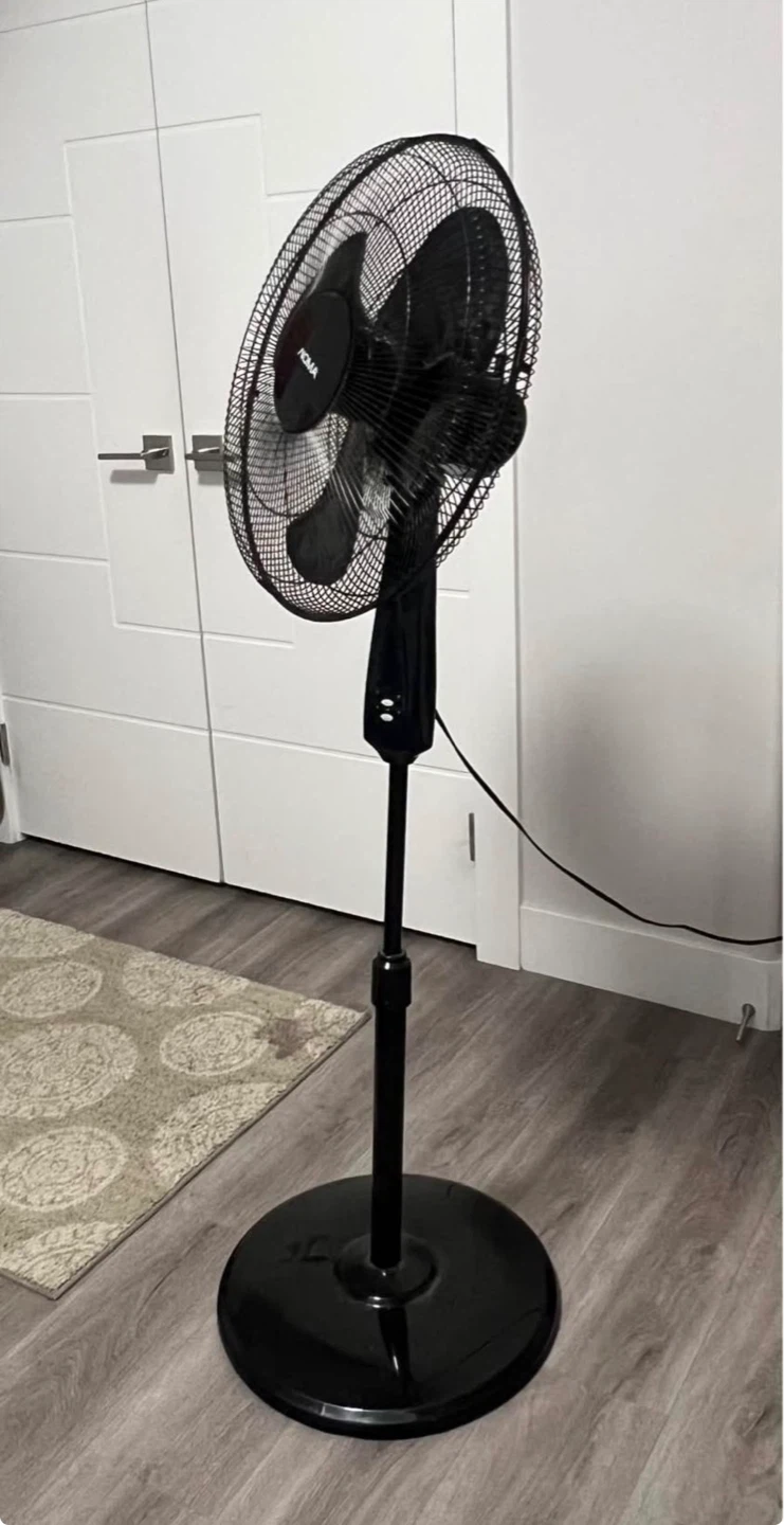 Moving sale - Vacuum, Fan, Lamp