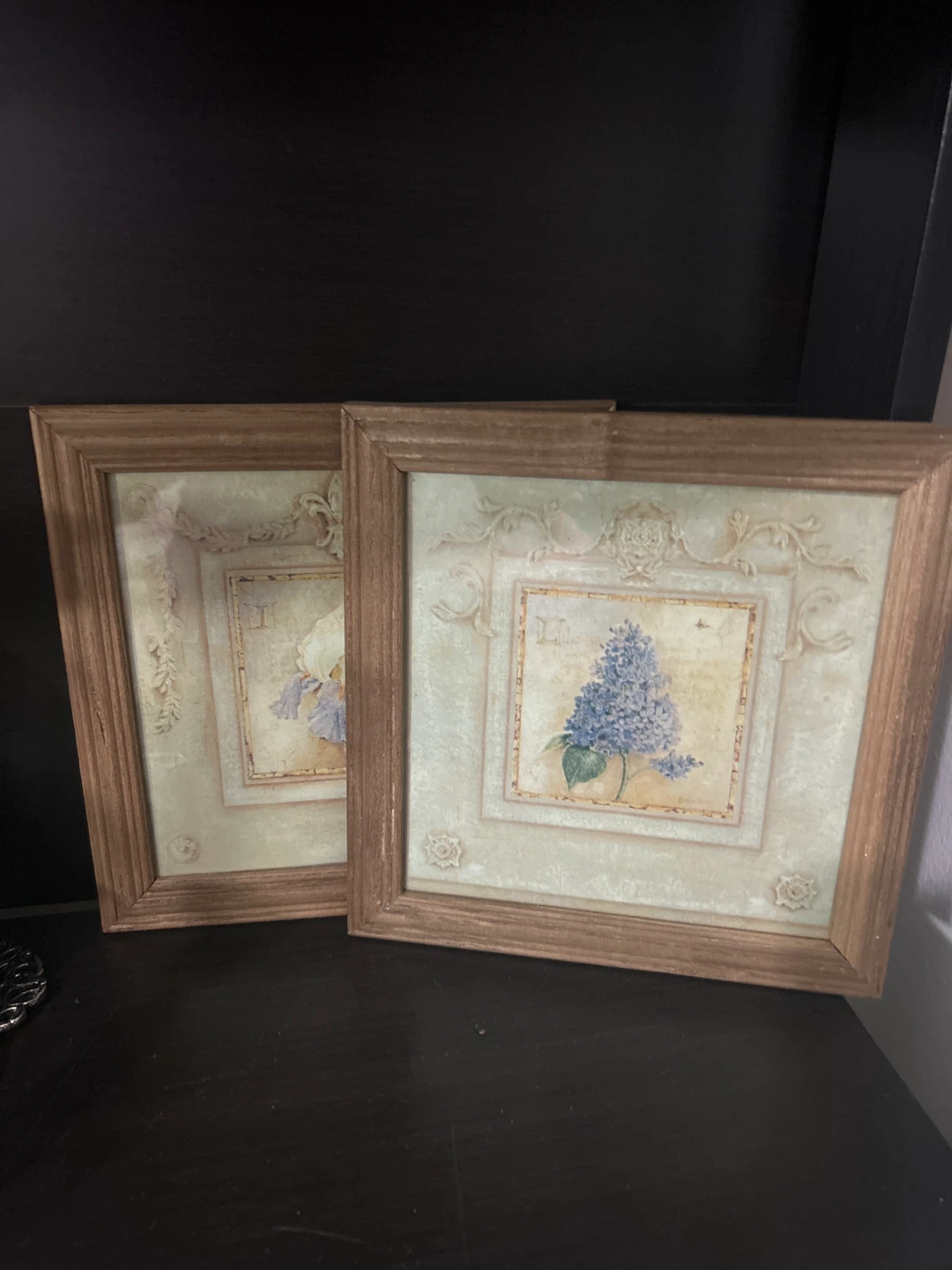 Set of 2 Framed Floral Prints