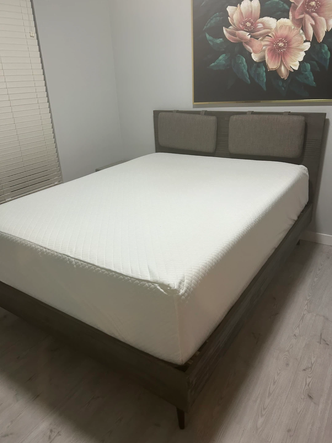 Zane Queen Bed Frame