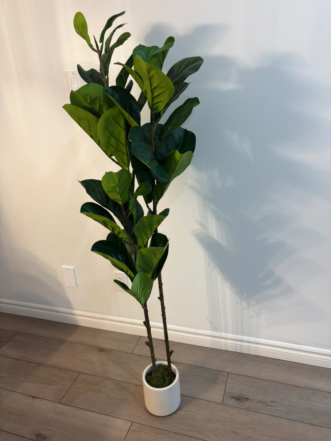 5ft Artificial Fiddle Leaf Fig Tree in White Pot - photo 2