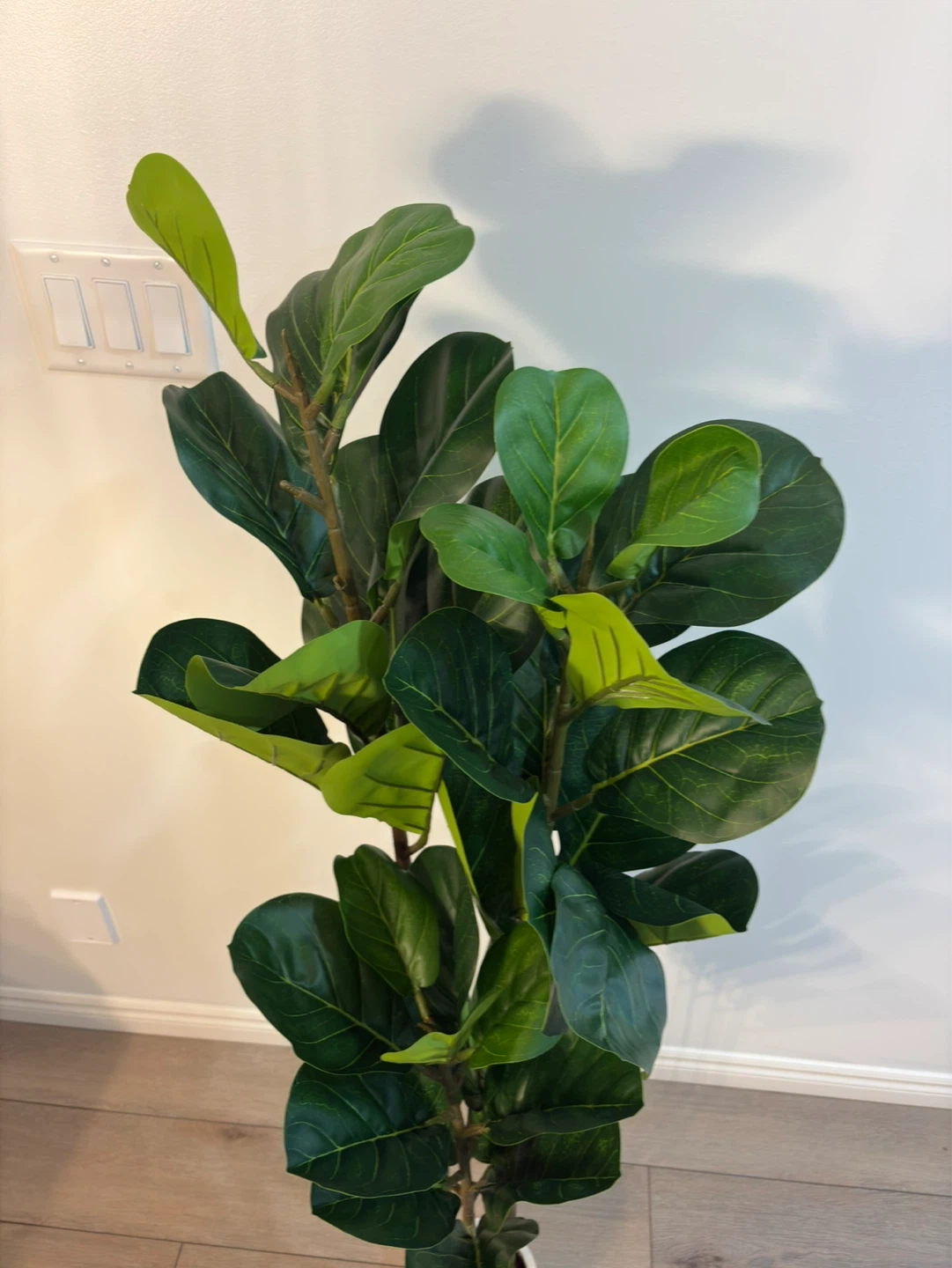 5ft Artificial Fiddle Leaf Fig Tree in White Pot - photo 3