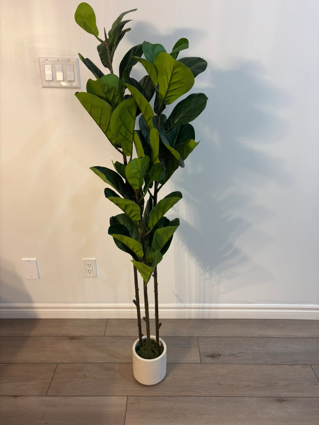 5ft Artificial Fiddle Leaf Fig Tree in White Pot