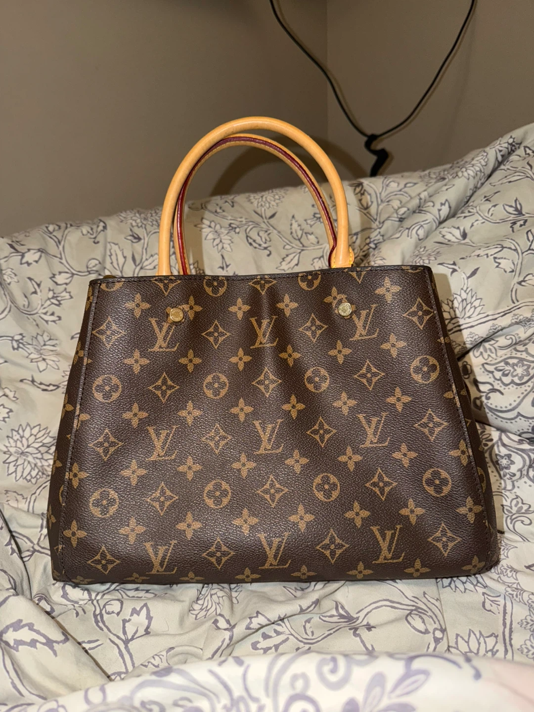 Louis Vuitton Monogram Speedy Bag