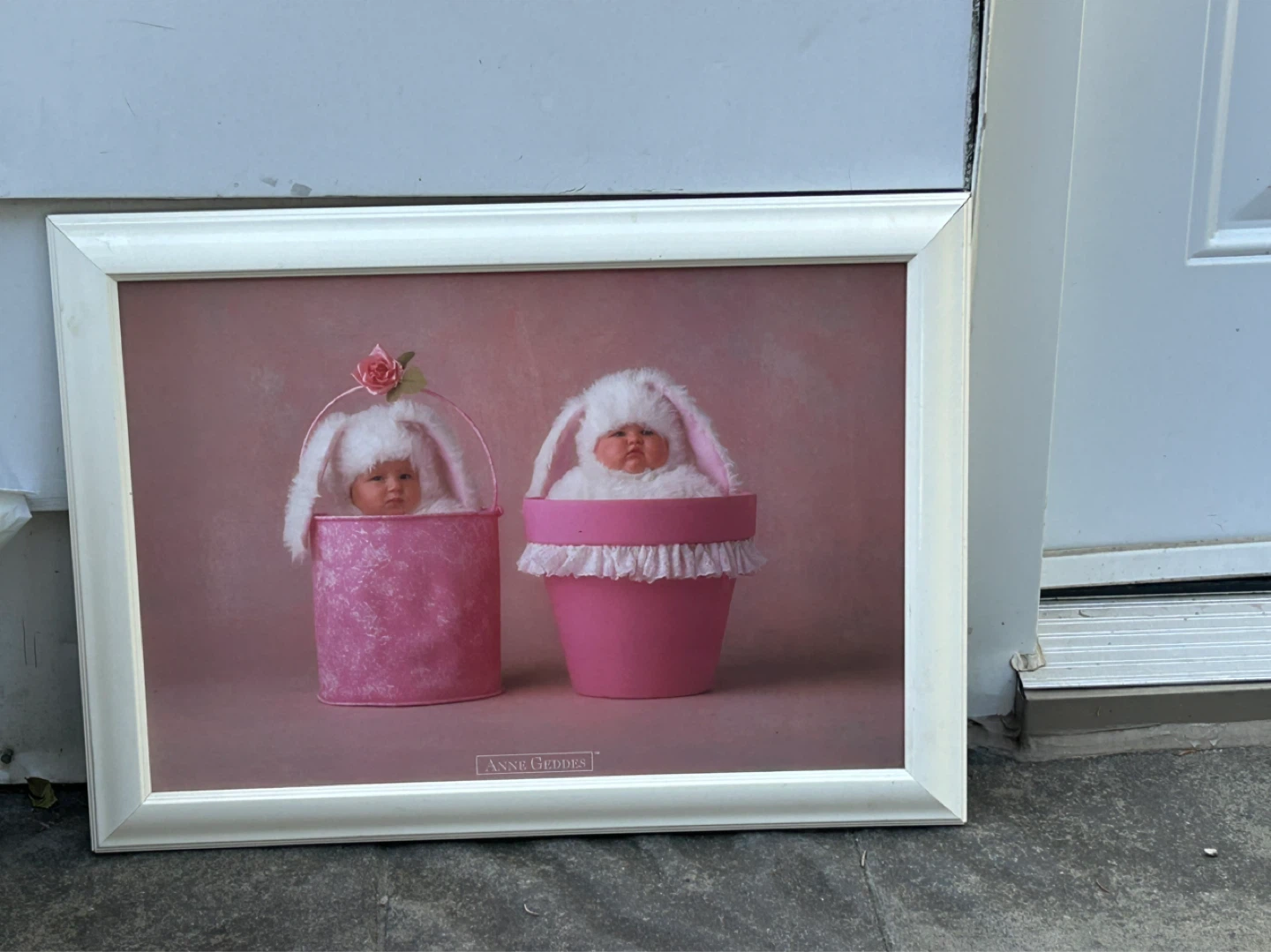 Anne Geddes Baby Bunnies Framed Print - photo 3