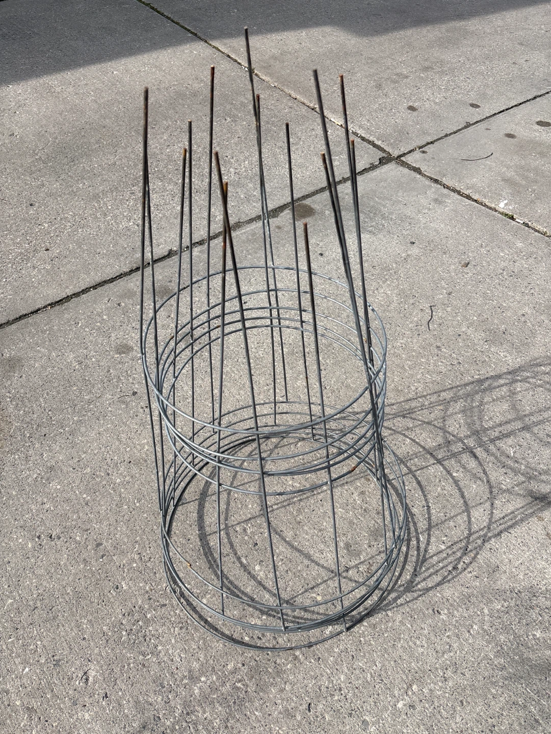 5 x Wire Plant Supports