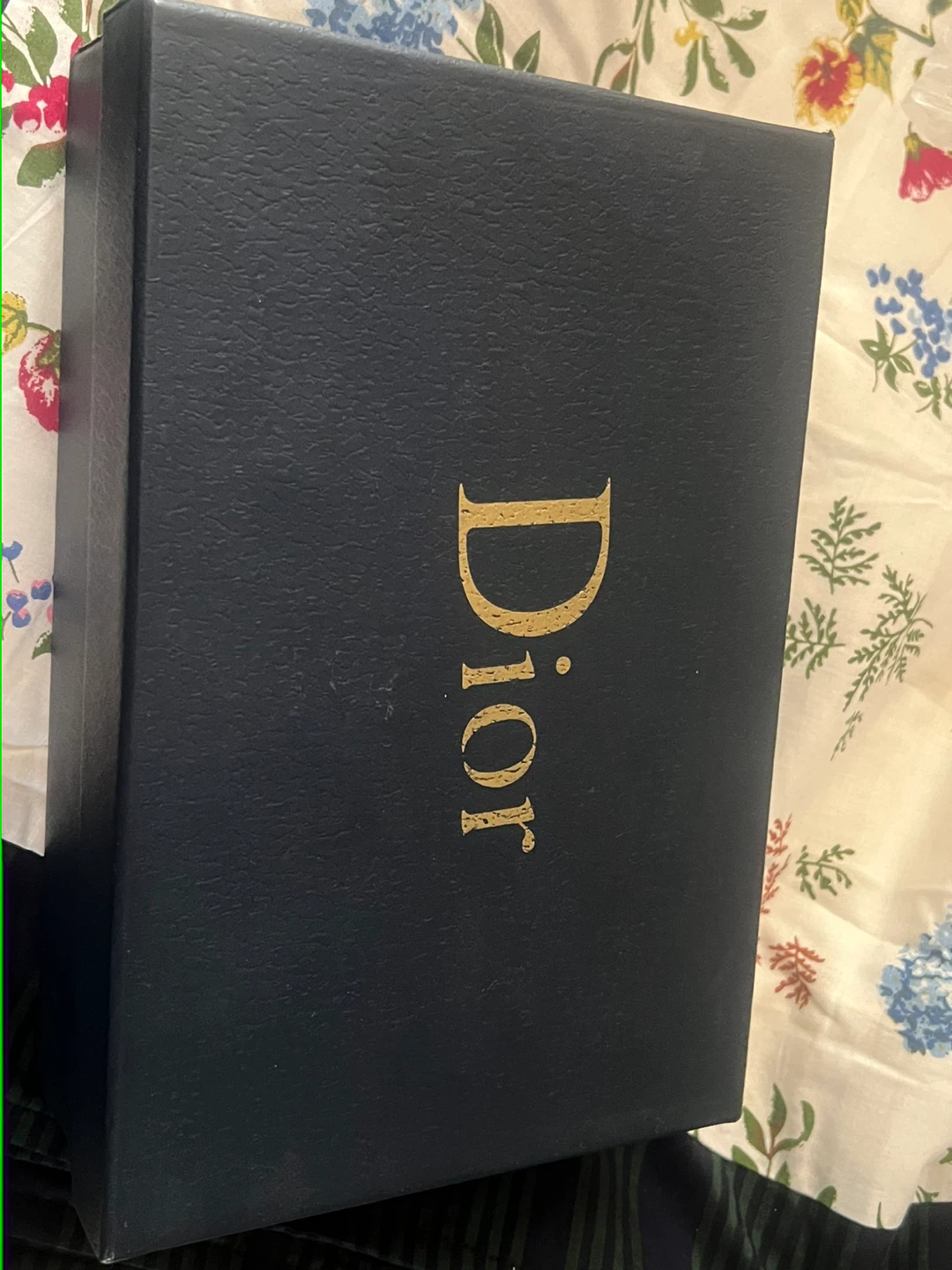 Dior CD Clasp Chain Bag