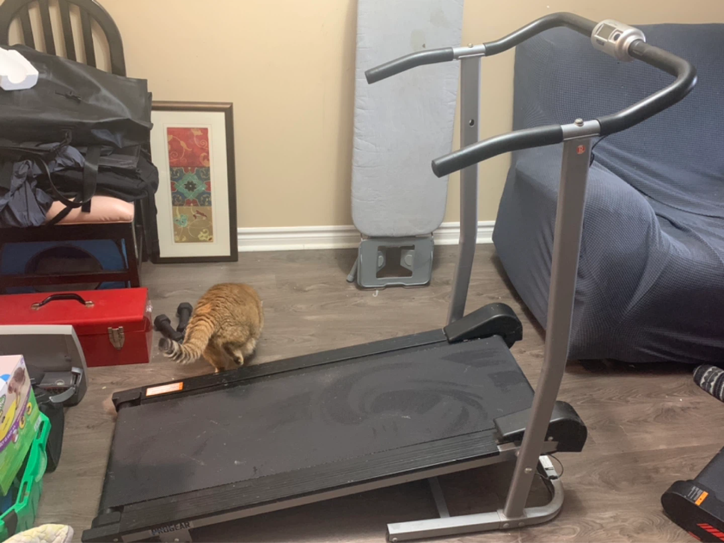 Progear Treadmill - photo 3