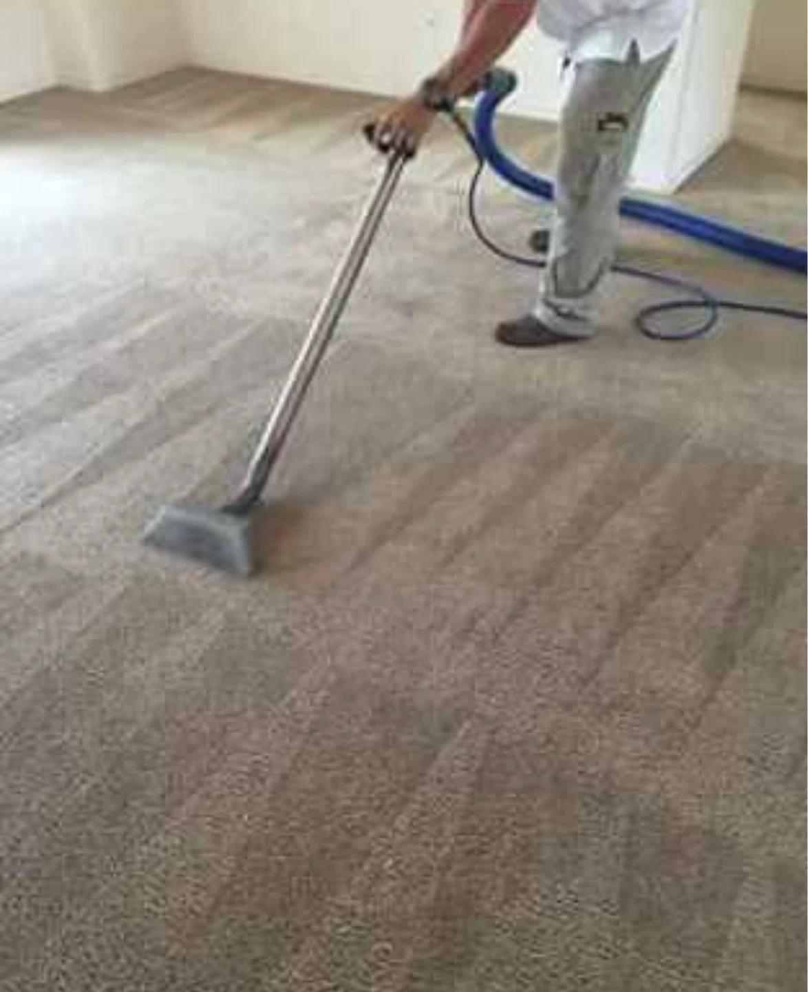 Carpet shampoo cleaning