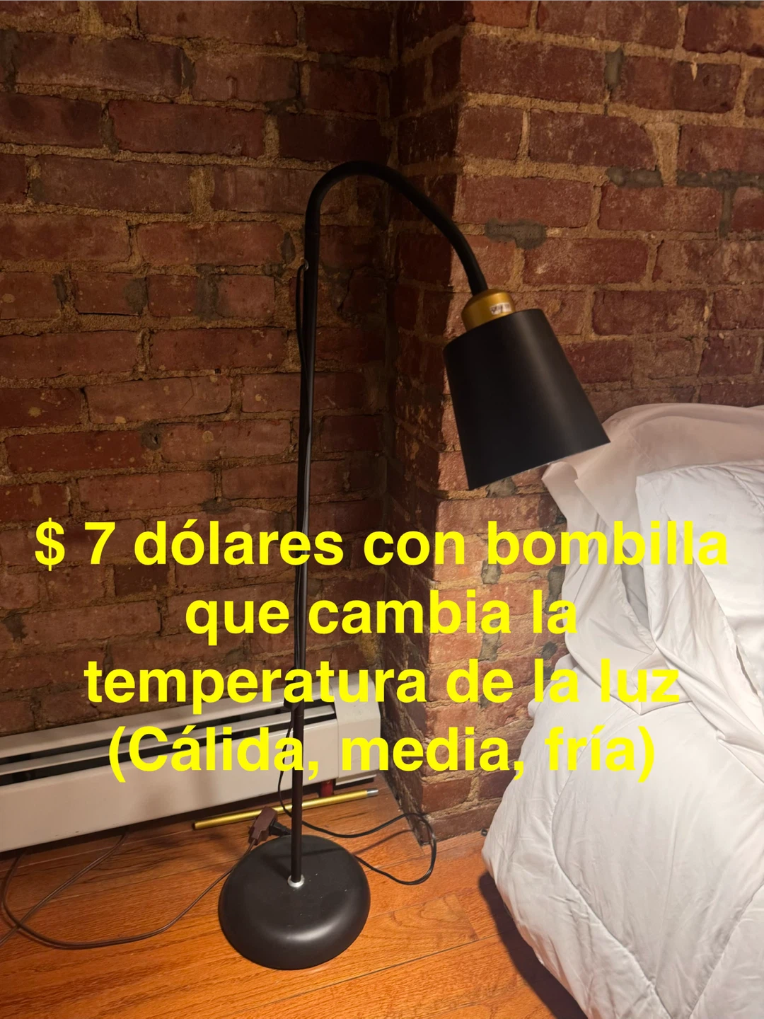 Black Floor Lamp with Color Temperature Bulb