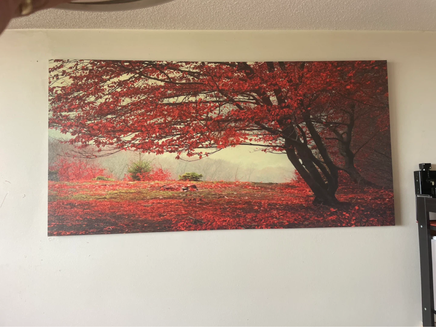 Canvas Print Wall Art - Red Maple Tree Landscape