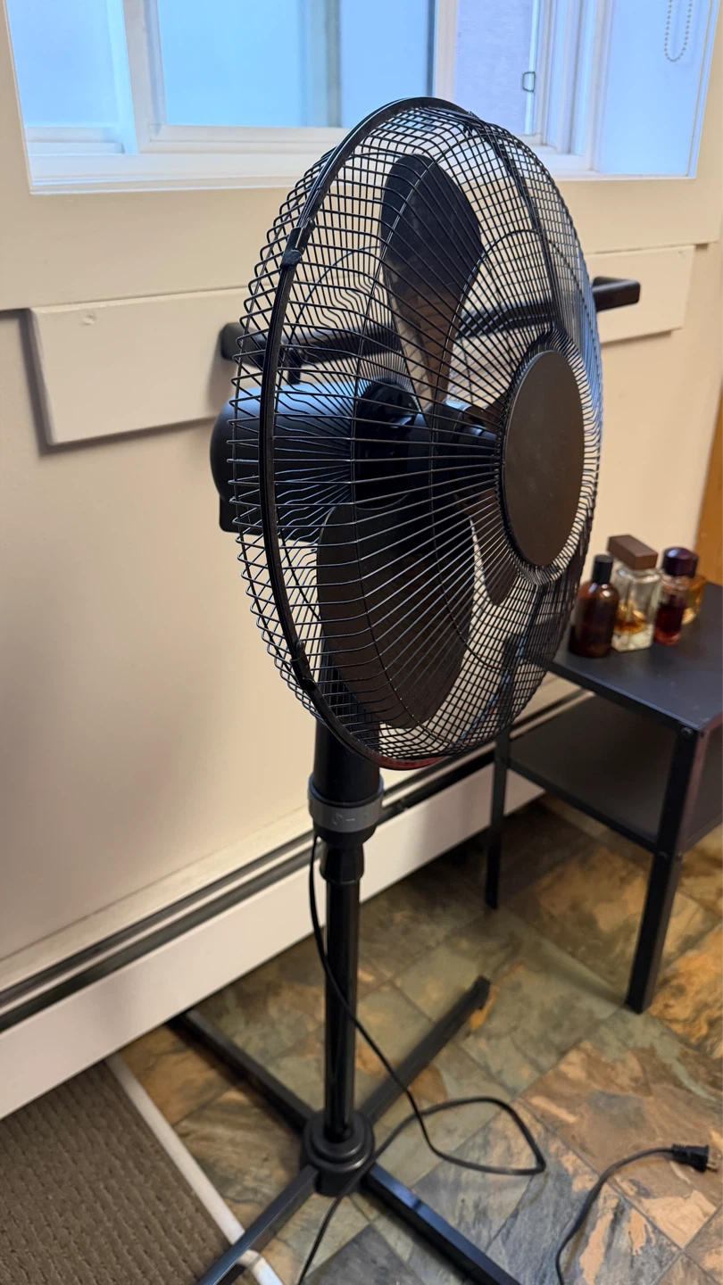 Black Pedestal Fan
