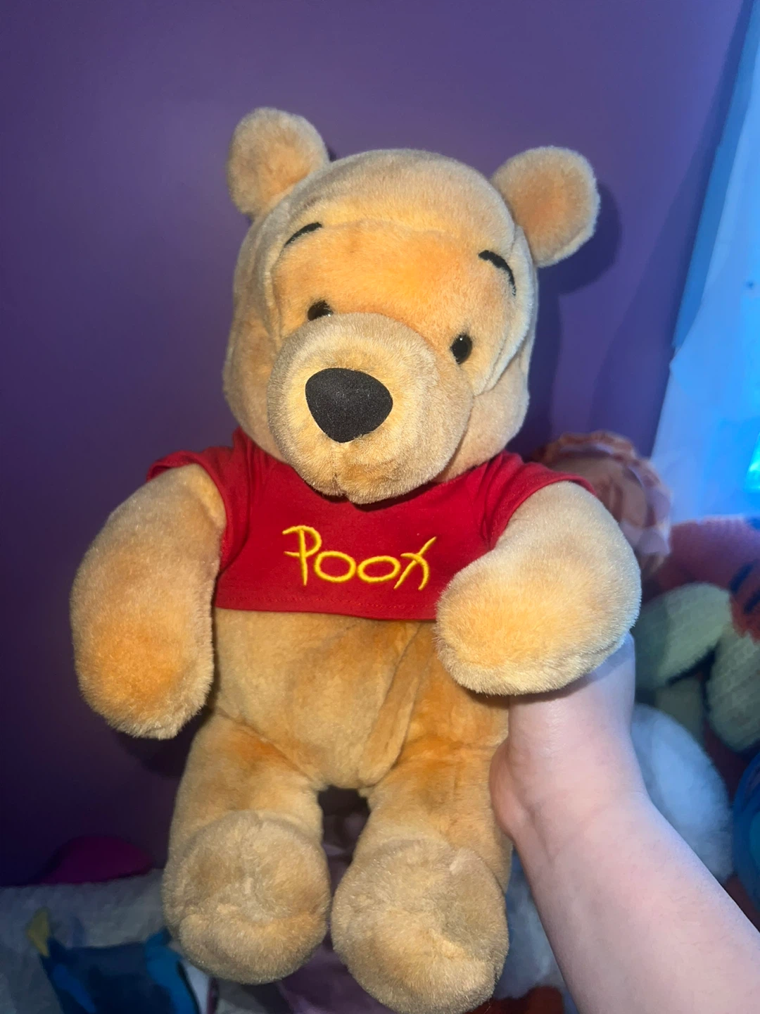 Disney Winnie the Pooh Plush Toy