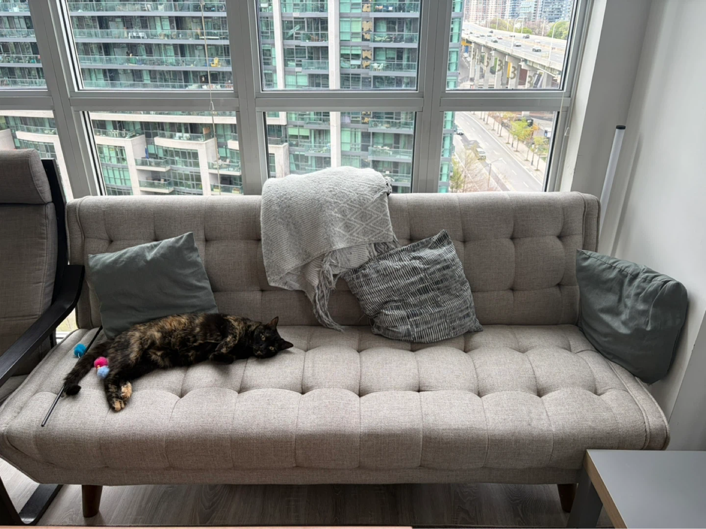 Grey Tufted Sofa Couch bed