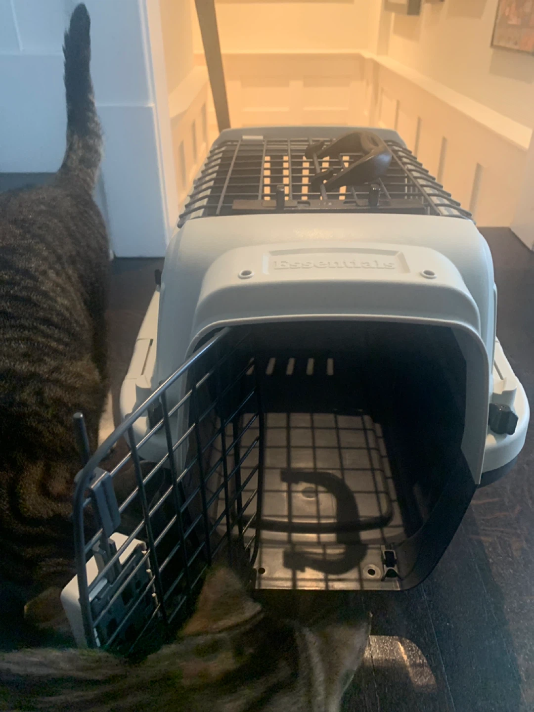 Essentials Pet Carrier - photo 4