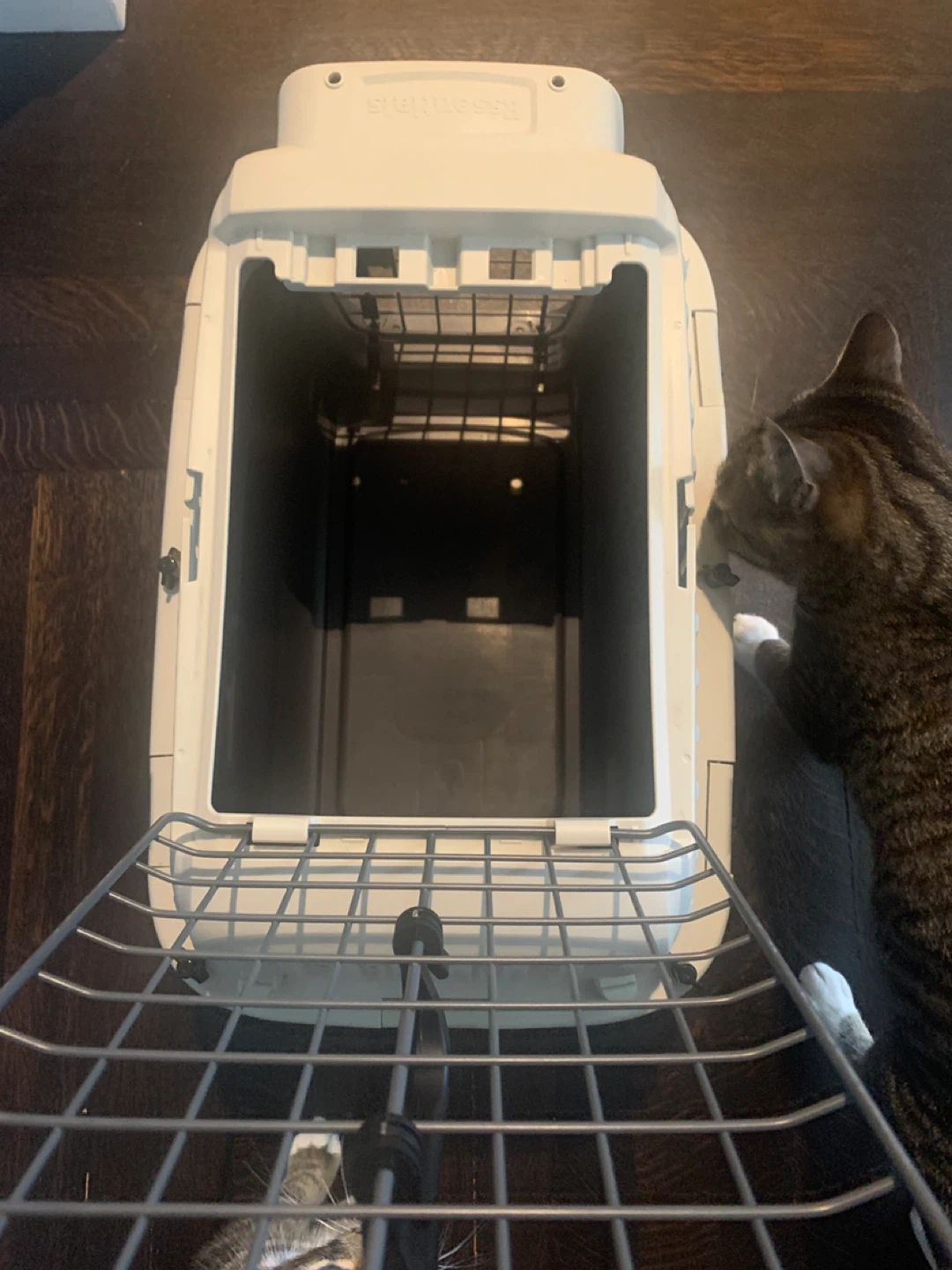 Essentials Pet Carrier - photo 5