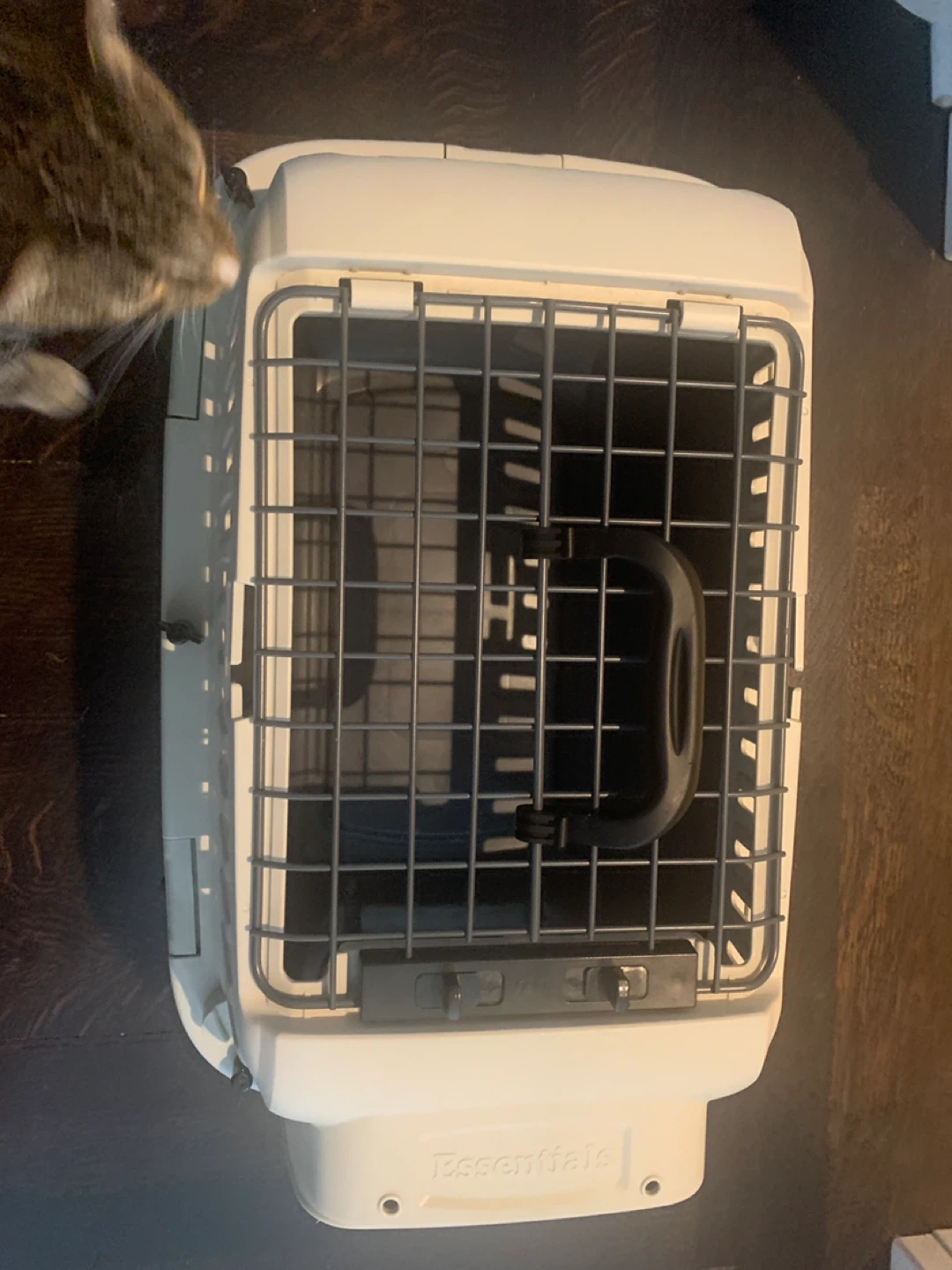 Essentials Pet Carrier