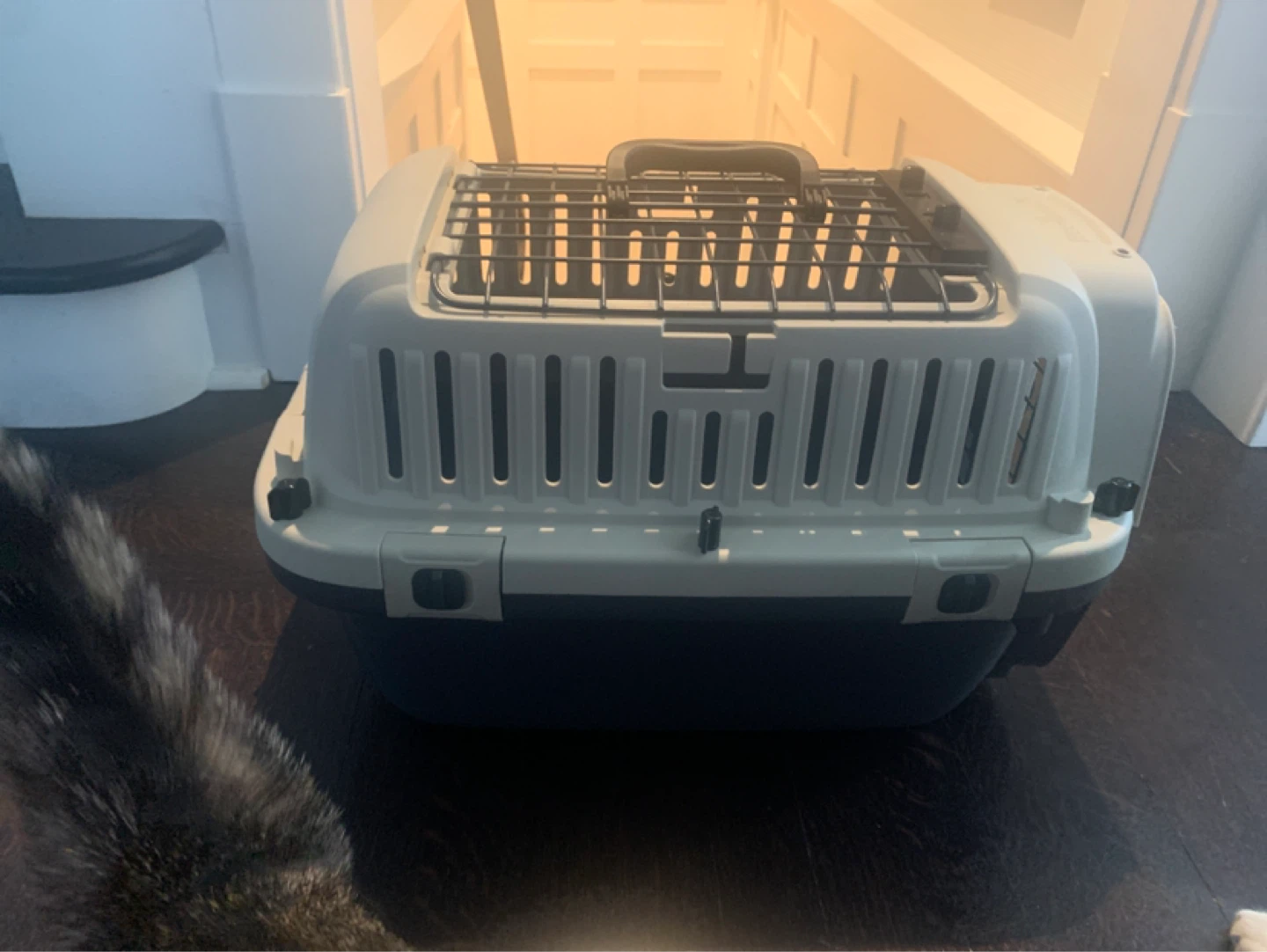 Essentials Pet Carrier - photo 2
