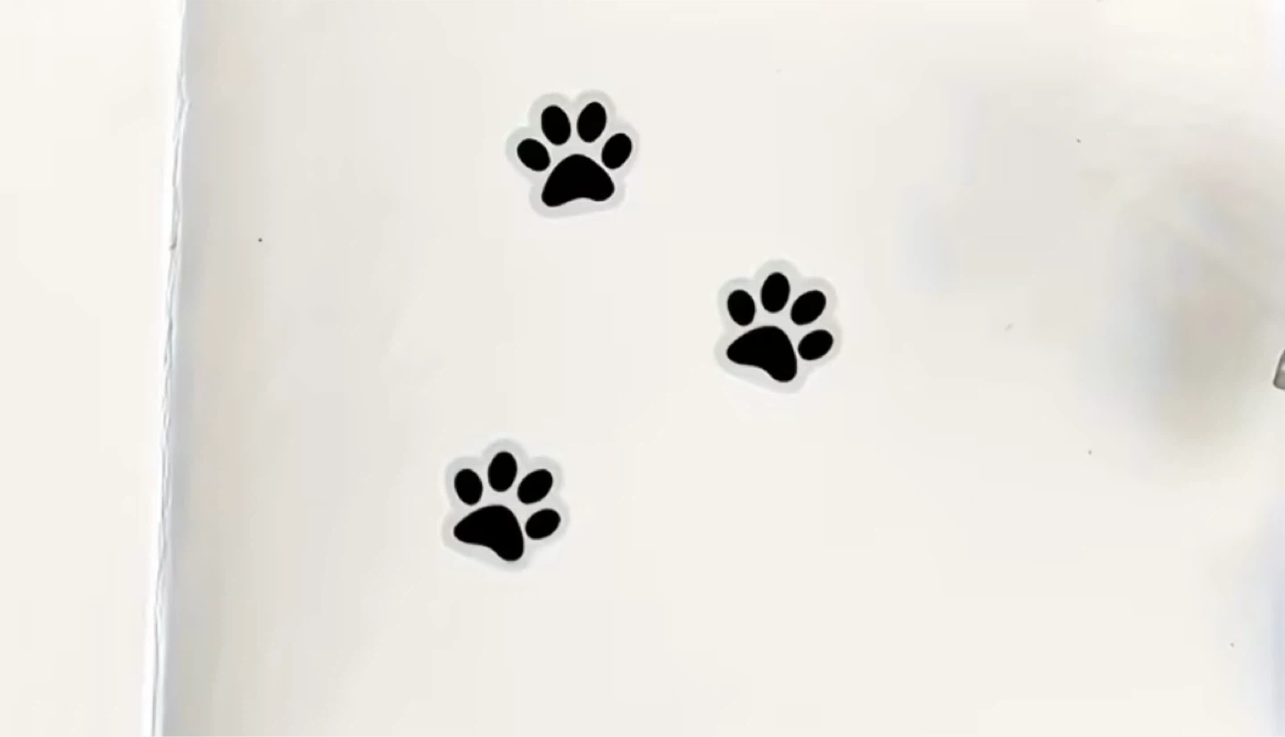 Paw Print Stickers, 36pcs/1 sheet - photo 3