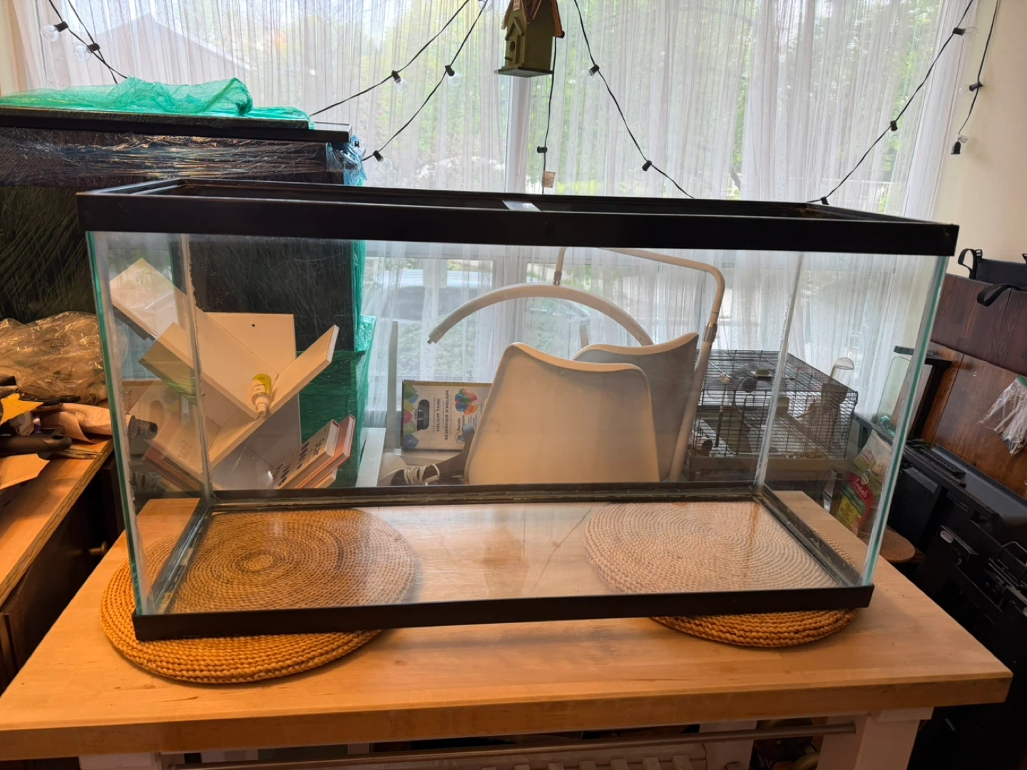 Glass Aquarium Tank