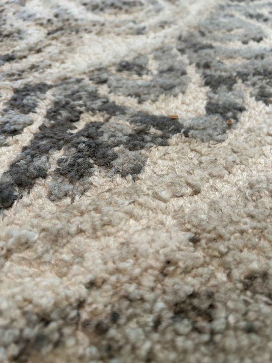Gertmenian Area Rug 5ft 3in x 7ft - photo 3