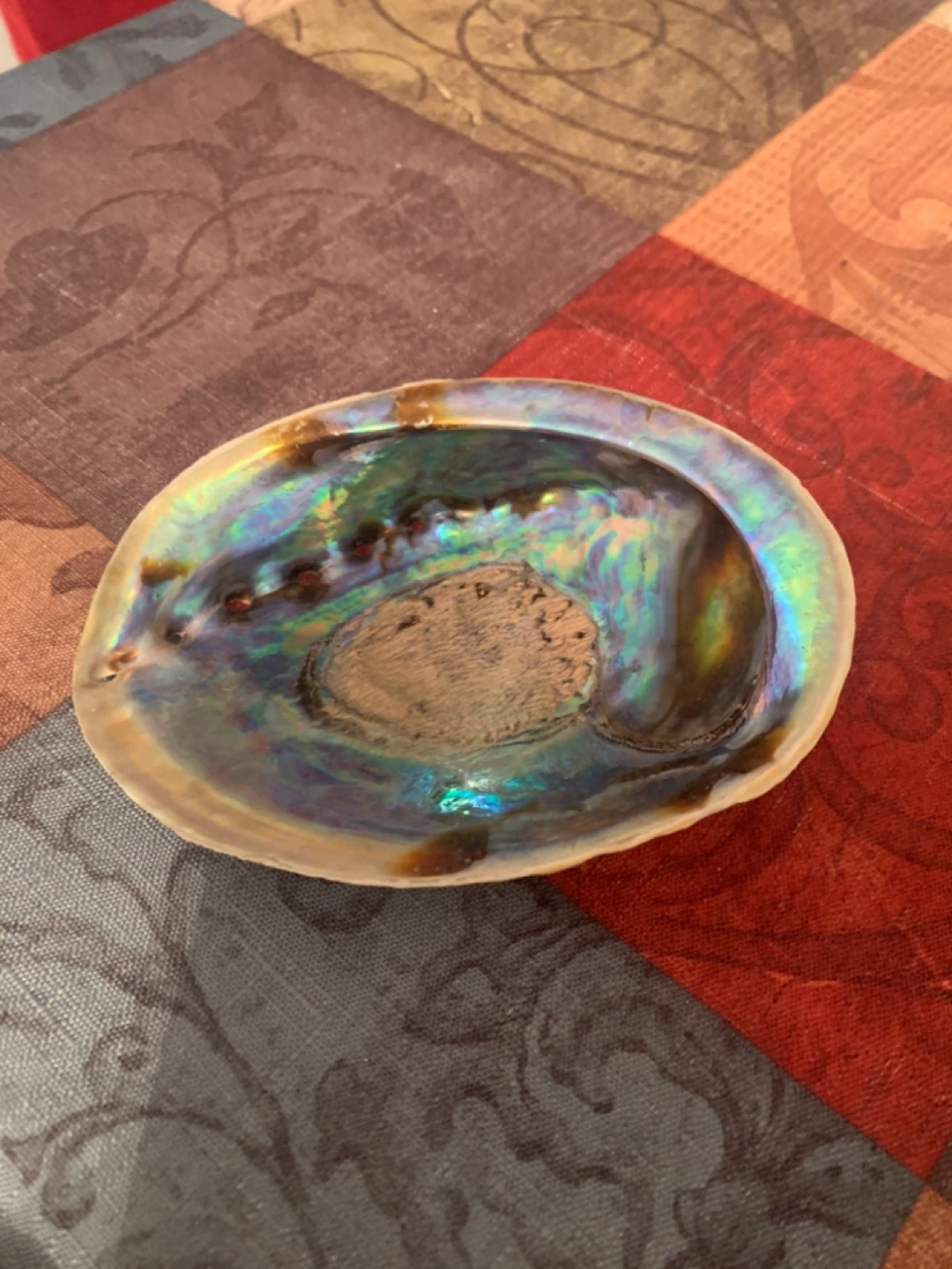 Abalone Shell and Crystal Collection - photo 2