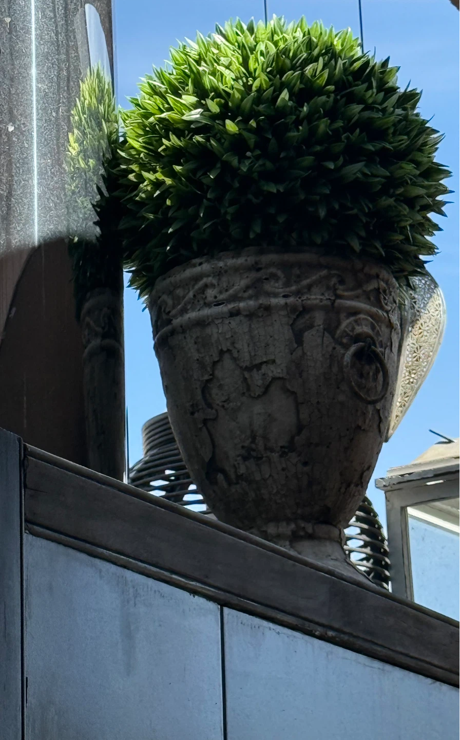 Decorative Potted Plant - photo 2