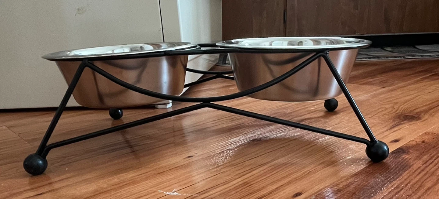 Double Stainless Steel Pet Bowls on Stand