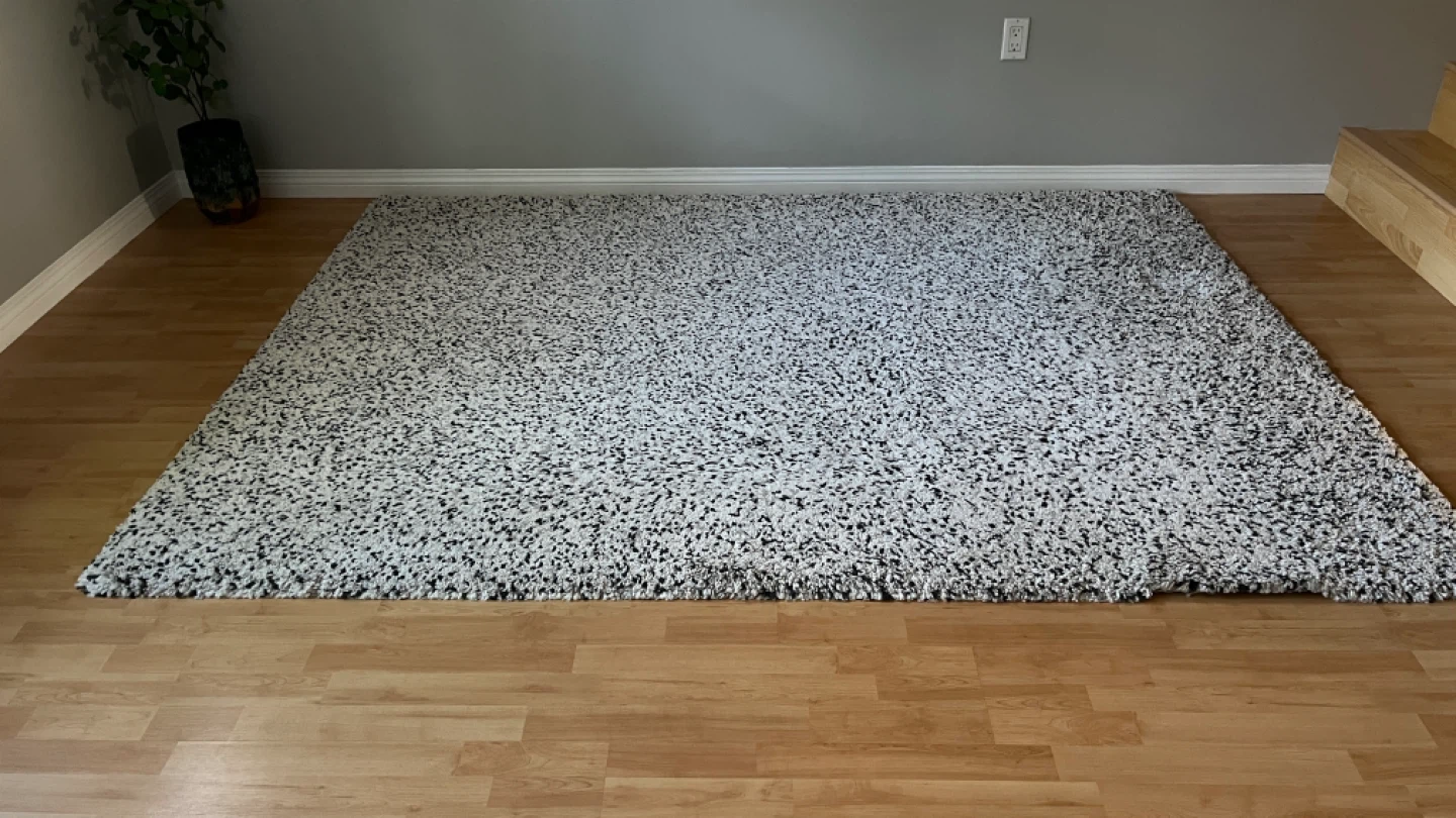 (Free) Shaggy Area Rug - White and Black