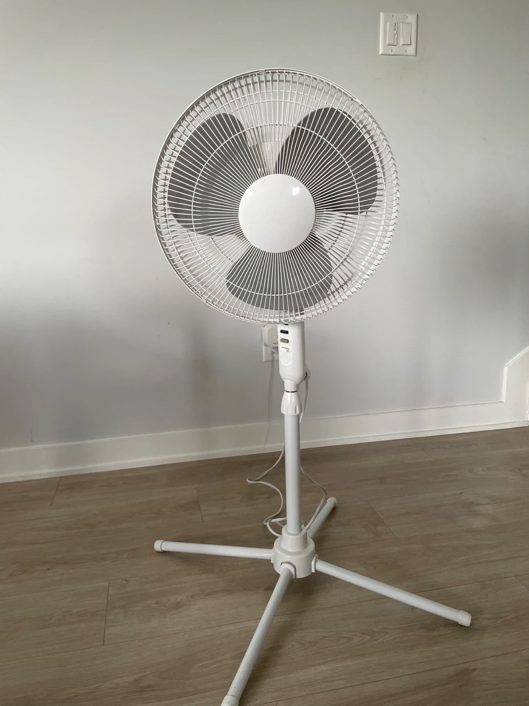 White Pedestal Fan (Two available)