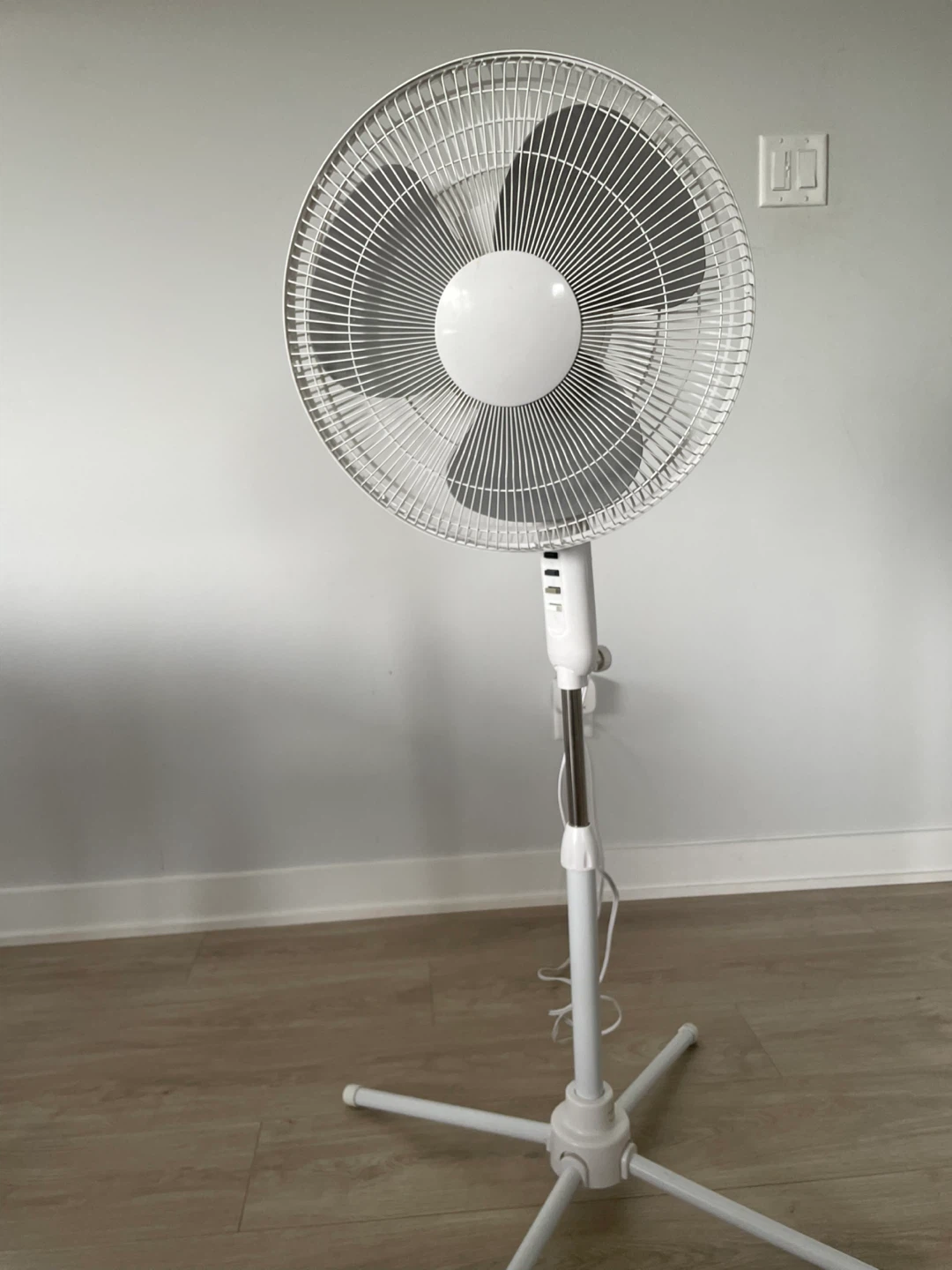 White Pedestal Fan (Two available) - photo 2