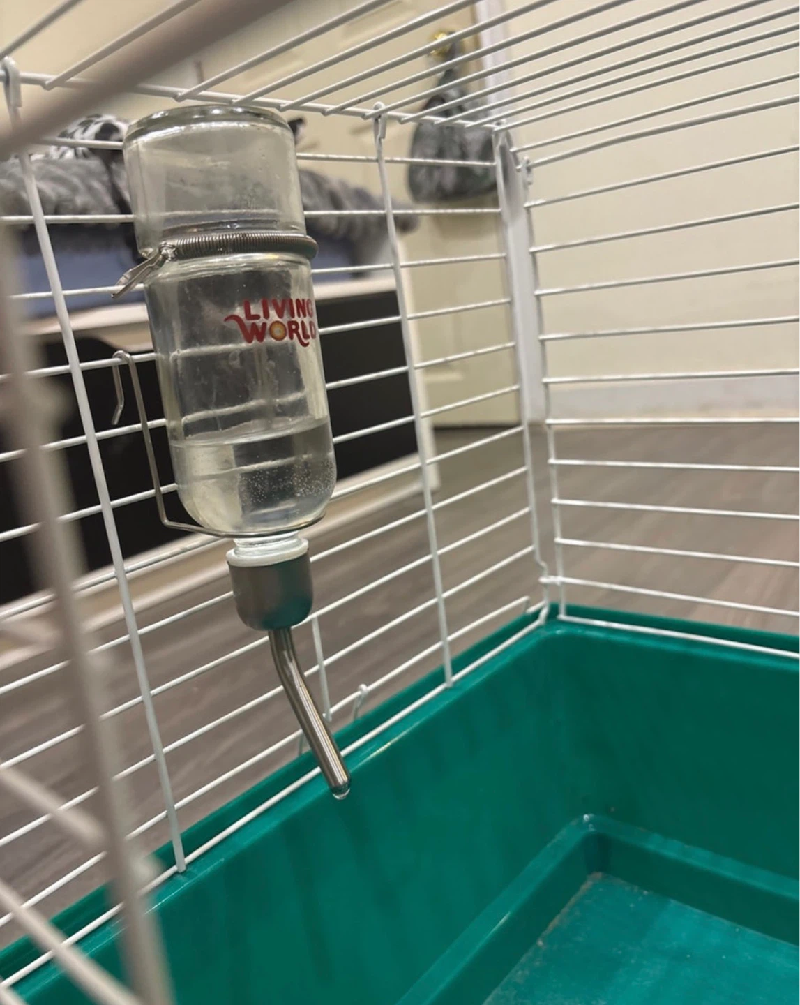 Home sweet home 24” Cage with Water Bottle - photo 3