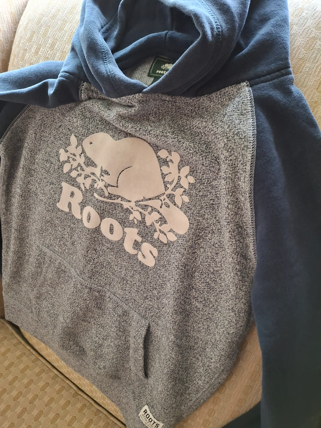 Roots Kids pullover hoodie - photo 4