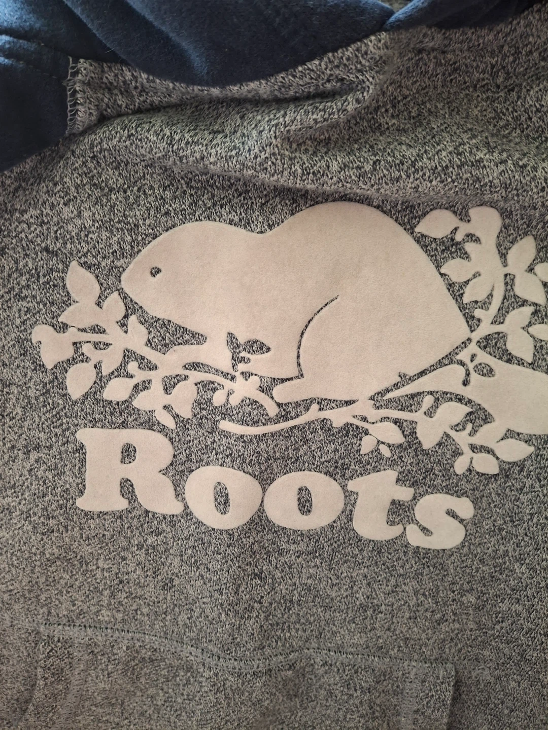 Roots Kids pullover hoodie - photo 3