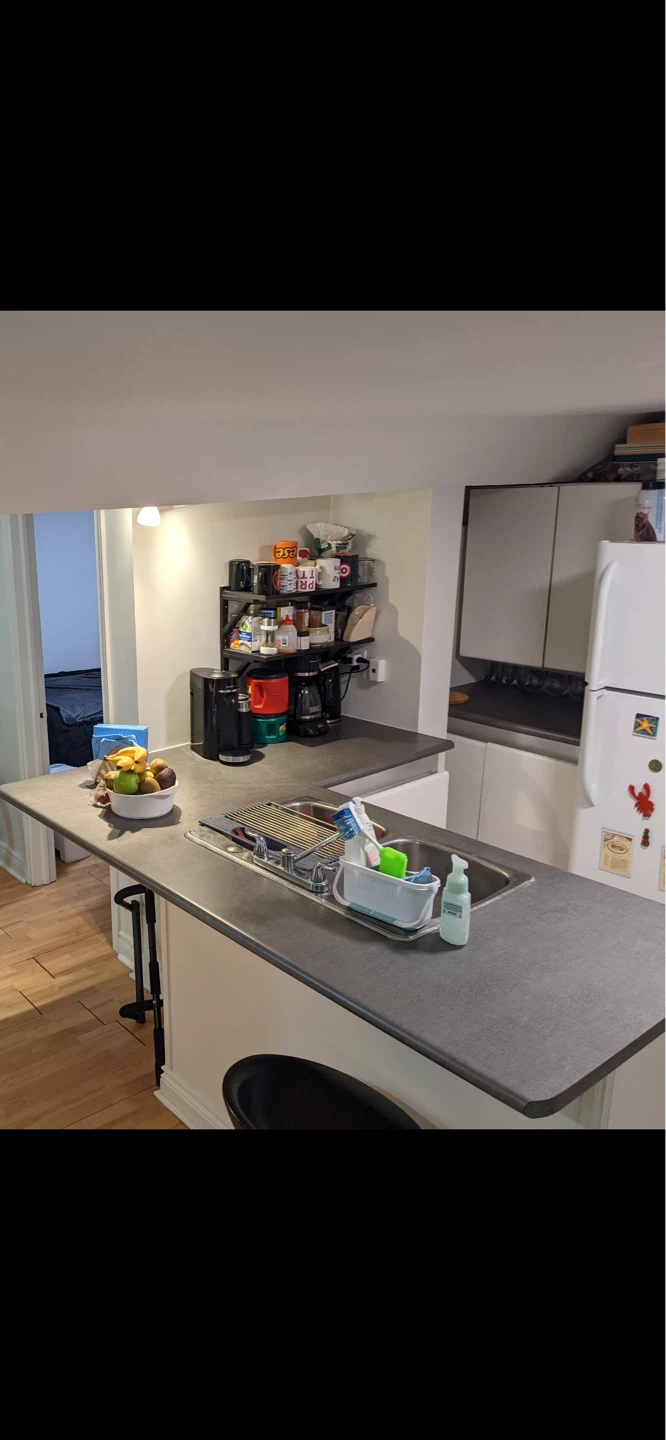 All-inclusive room for rent - Huron, Annex - photo 4