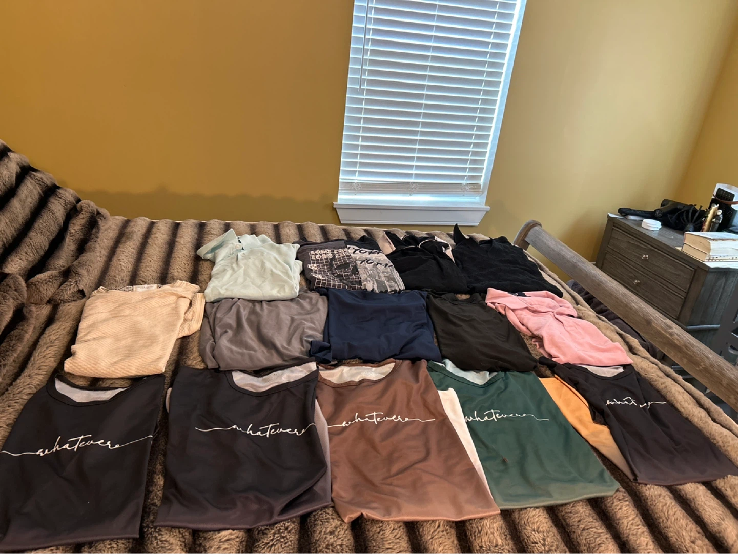 Lot of 15 T-shirts and Tops 14 pieces total
