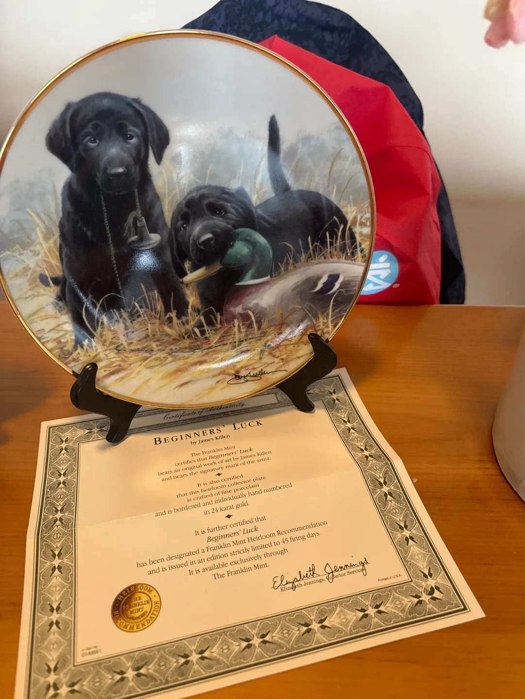 Franklin Mint "Beginners' Luck" Collector Plate